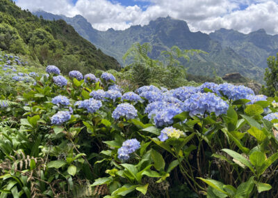 Jóga a trek MADEIRA s lektorkou Simona Josefová  20.9. – 27.9.2025